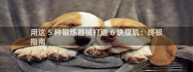 d88尊龙可靠送38元：用这 5 种锻炼器械打造 6