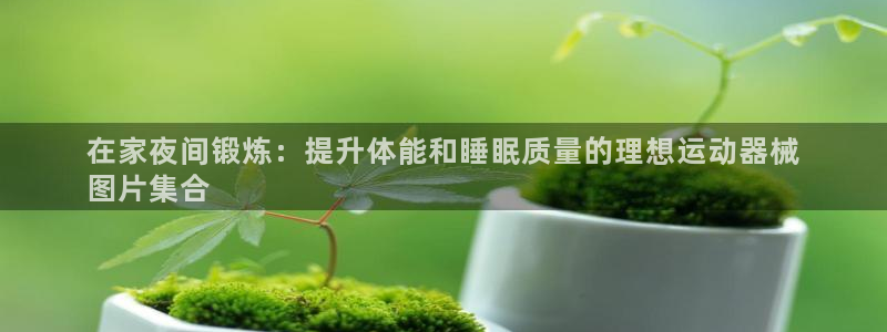 尊龙凯时人生就是搏z6com：在家夜间锻炼：提升体能