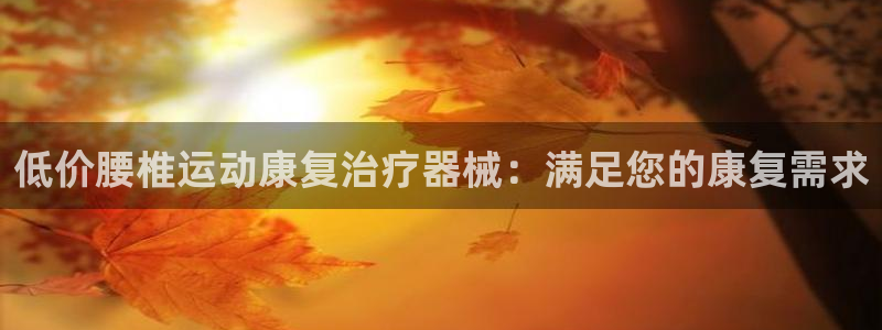 凯时国际官方版：低价腰椎运动康复治疗器械：满足您的康