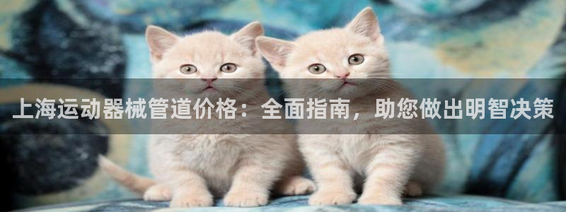 尊龙2016：上海运动器械管道价格：全面指南，助您做