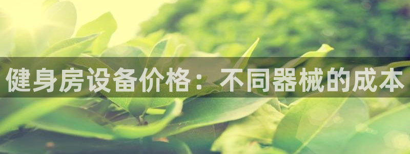尊龙人生就是博现金：健身房设备价格：不同器械的成本