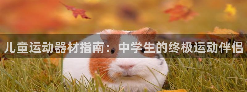 凯时官网联系方式：儿童运动器材指南：中学生的终极运动