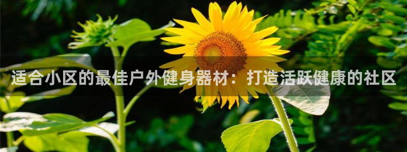 尊龙实业有限公司属于国企吗：适合小区的最佳户外健身器