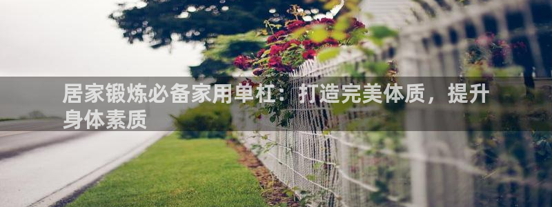 尊龙凯时网娱乐最新版下载：居家锻炼必备家用单杠：打造