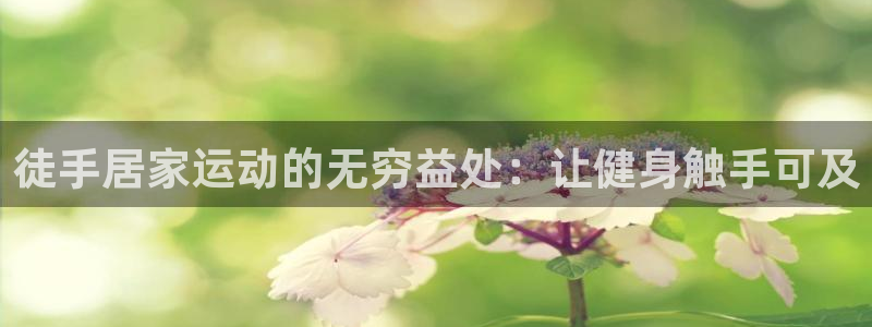 尊龙集团有限公司：徒手居家运动的无穷益处：让健身触手