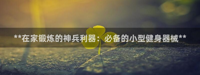 尊龙凯时口碑好吗：**在家锻炼的神兵利器：必备的小型