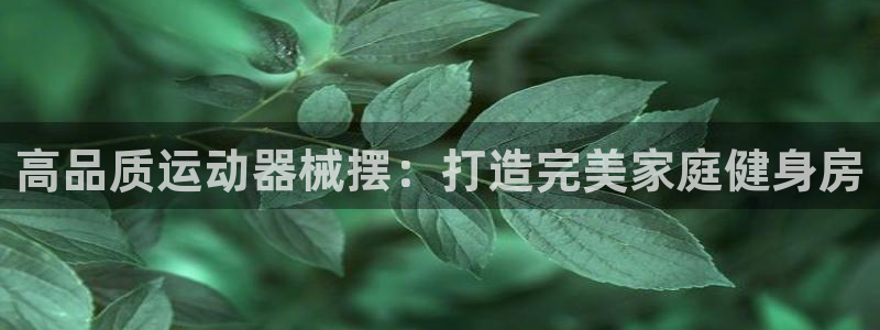ag尊龙怎么样：高品质运动器械摆：打造完美家庭健身房