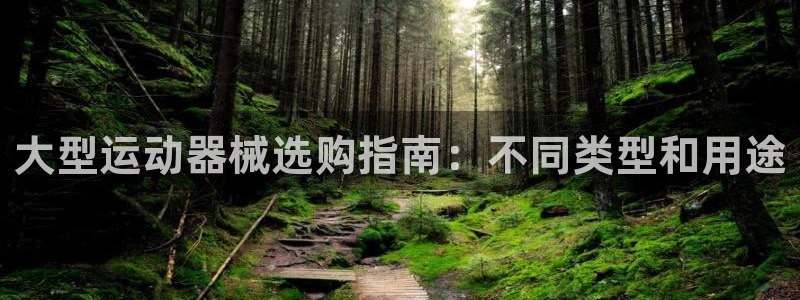 尊龙手机端下载：大型运动器械选购指南：不同类型和用途