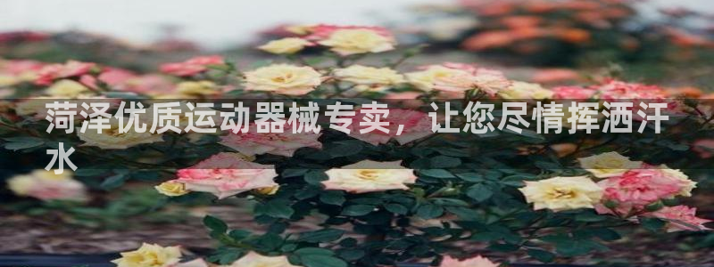 d88尊龙凯时：菏泽优质运动器械专卖，让您尽情挥洒汗