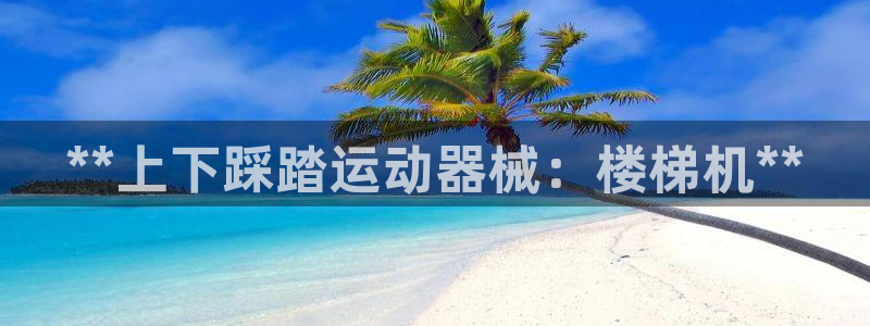 ZL尊龙凯时集团：**上下踩踏运动器械：楼梯机**