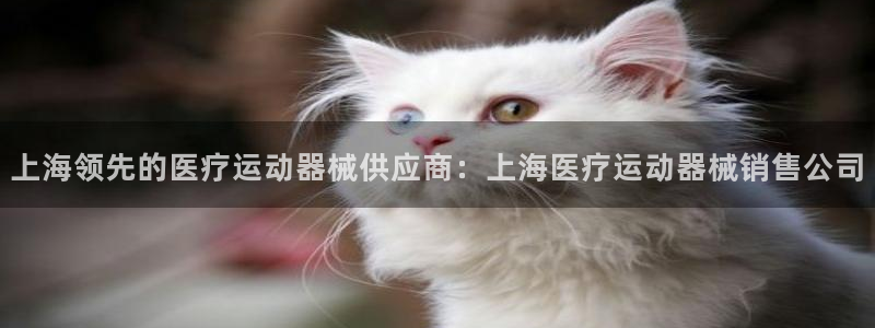 凯时国际app首页：上海领先的医疗运动器械供应商：上