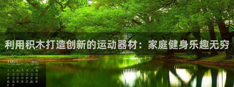 尊龙人生就是博网站下载：利用积木打造创新的运动器材：