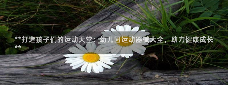 尊龙凯时网娱乐官网：**打造孩子们的运动天堂：幼儿园