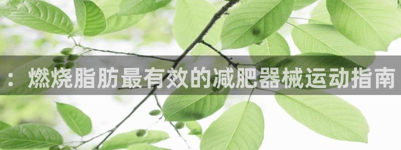 凯时游戏app：：燃烧脂肪最有效的减肥器械运动指南