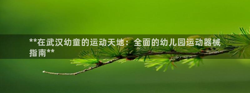 尊龙现金d88：**在武汉幼童的运动天地：全面的幼儿