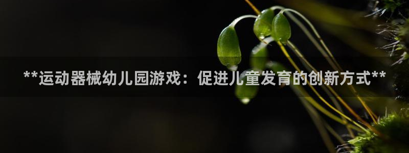 尊龙2020：**运动器械幼儿园游戏：促进儿童发育的