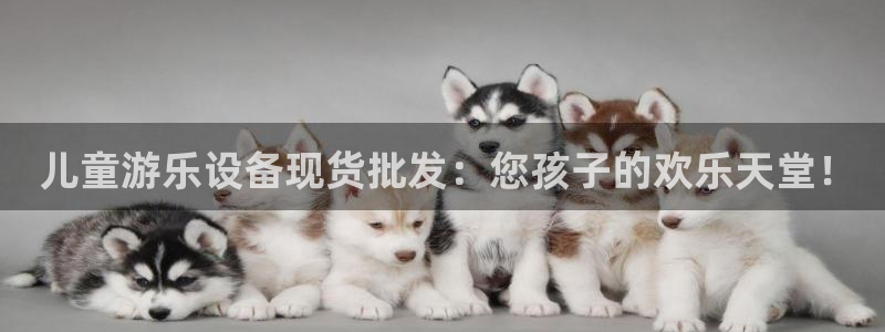 尊龙凯时ag旗舰： 儿童游乐设备现货批发：您孩子的欢