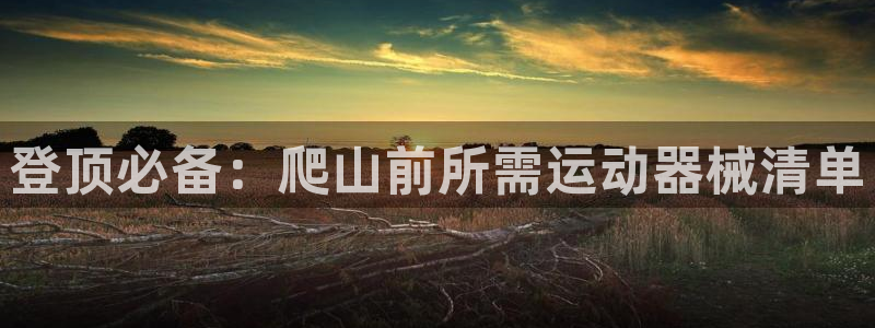 尊龙d88官网登录下载：登顶必备：爬山前所需运动器械