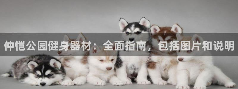 尊龙凯时人生就是搏z6com：仲恺公园健身器材：全面