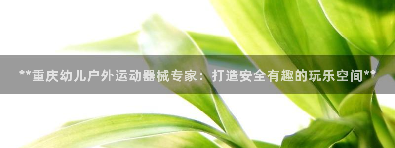 尊龙165：**重庆幼儿户外运动器械专家：打造安全有