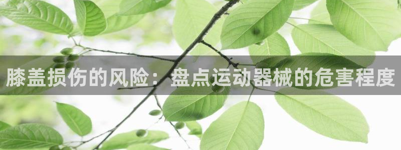 尊龙 am i blue：膝盖损伤的风险：盘点运动器