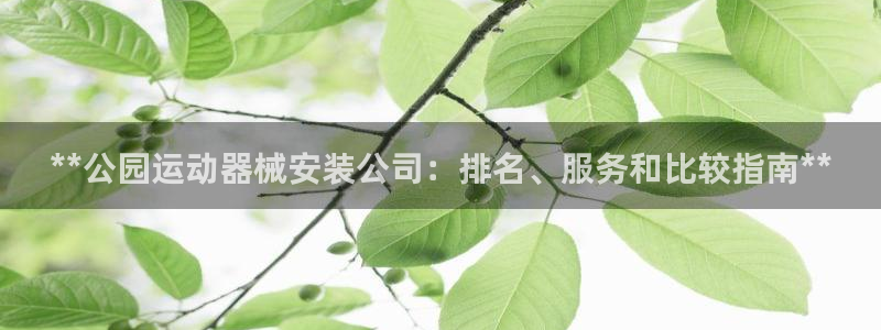尊龙d88官网QU来就送38：**公园运动器械安装公