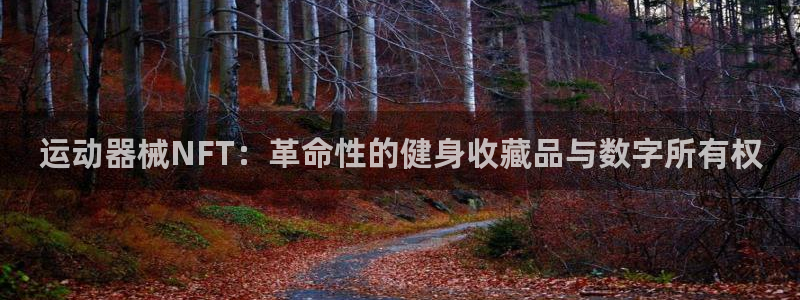 尊龙凯时链接：运动器械NFT：革命性的健身收藏品与数