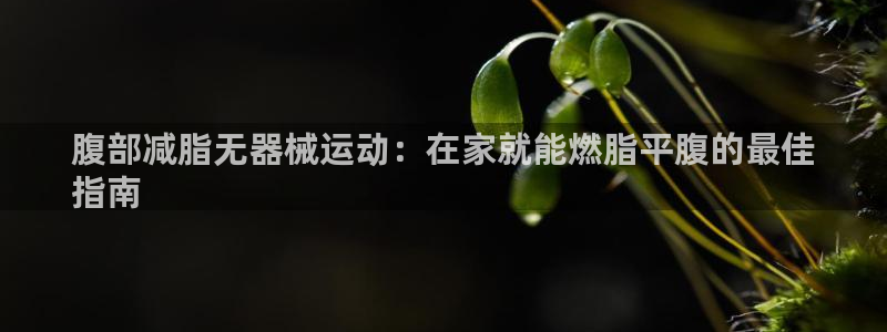 尊龙Ag：腹部减脂无器械运动：在家就能燃脂平腹的最佳