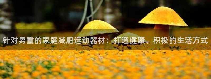 尊龙凯时返现：针对男童的家庭减肥运动器材：打造健康、
