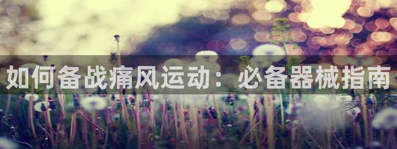 尊龙凯时干什么的：如何备战痛风运动：必备器械指南