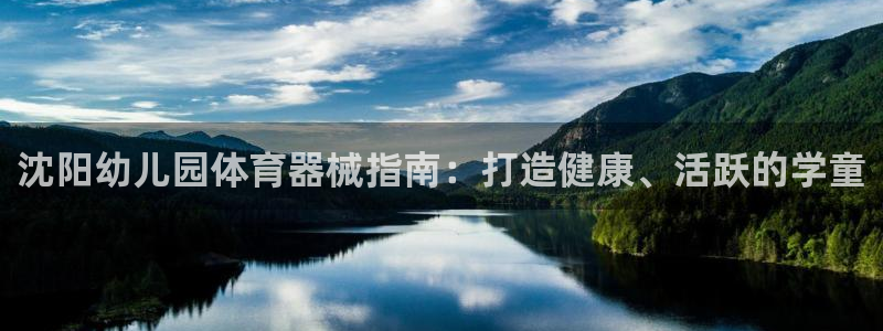 尊龙凯时赞助：沈阳幼儿园体育器械指南：打造健康、活跃