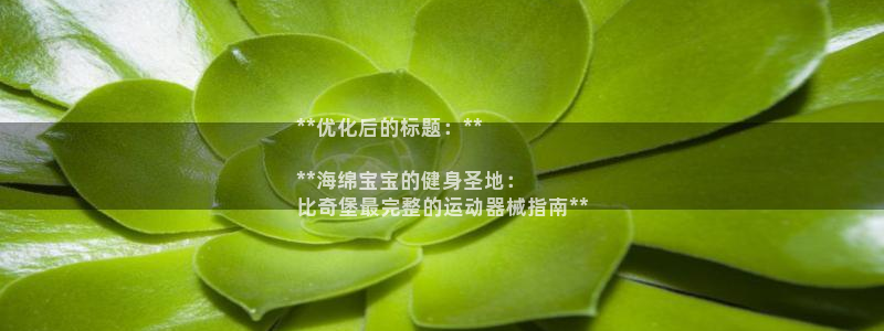 尊龙集团有限公司：**优化后的标题：**

**海绵