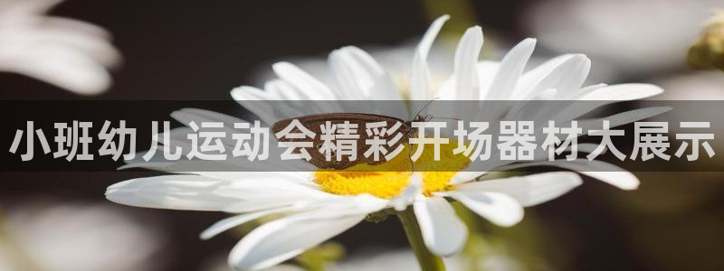 ag尊龙凯时官网：小班幼儿运动会精彩开场器材大展示