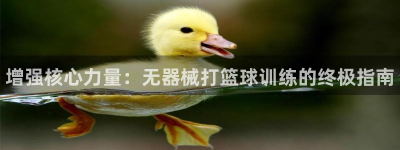 尊龙人生就是傅官网：增强核心力量：无器械打篮球训练的