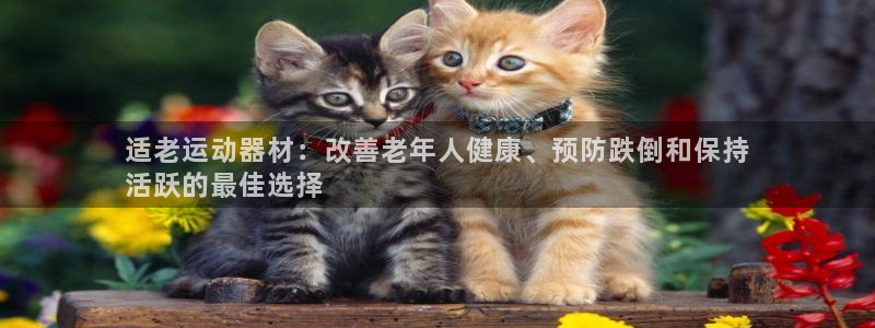尊龙凯时网站登录：适老运动器材：改善老年人健康、预防