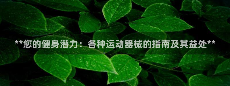 尊龙凯时登入首页：**您的健身潜力：各种运动器械的指