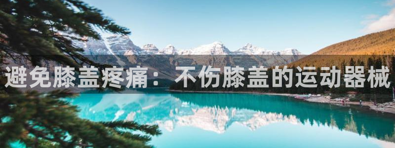 尊龙凯时平台信誉怎样：避免膝盖疼痛：不伤膝盖的运动器
