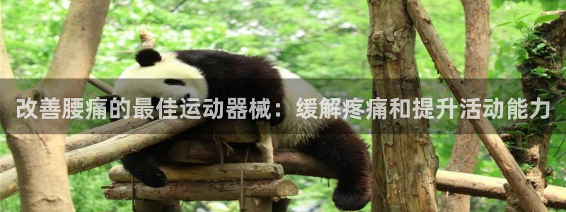 尊龙凯时出款：改善腰痛的最佳运动器械：缓解疼痛和提升
