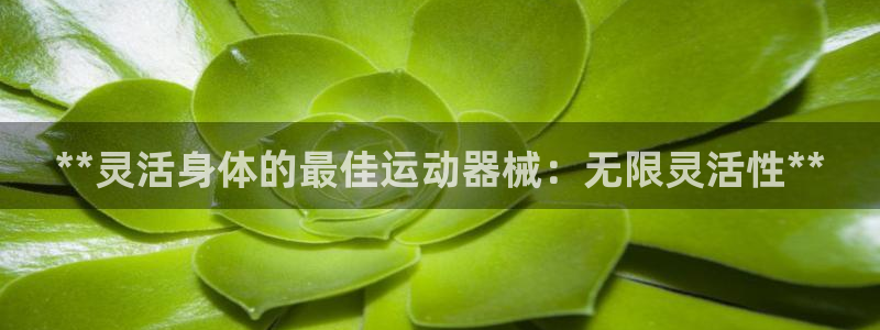 尊龙手机官方客户端下载安卓：**灵活身体的最佳运动器