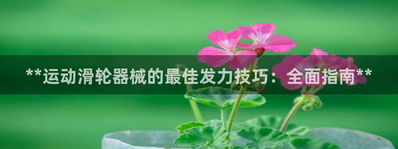 凯时官网的售后服务：**运动滑轮器械的最佳发力技巧：