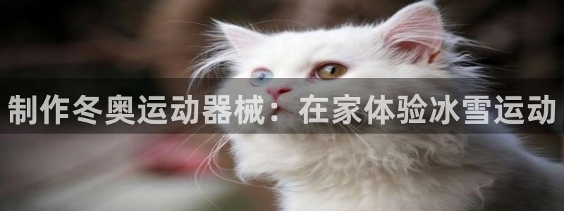 凯时在线平台官网：制作冬奥运动器械：在家体验冰雪运动
