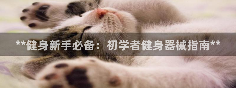 尊龙凯时 人生就是搏 平台：**健身新手必备：初学者