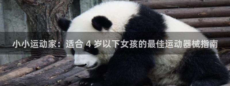 尊龙官方网站：小小运动家：适合 4 岁以下女孩的最佳