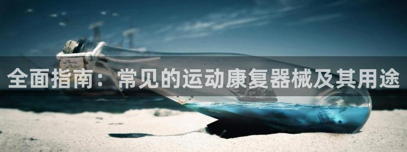 尊龙凯时白家乐Abb下载：全面指南：常见的运动康复器