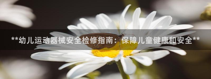 百度一下尊龙：**幼儿运动器械安全检修指南：保障儿童