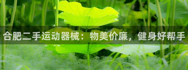 凯时尊龙官网网址：合肥二手运动器械：物美价廉，健身好