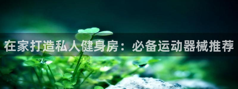 尊龙人生就是博：在家打造私人健身房：必备运动器械推荐