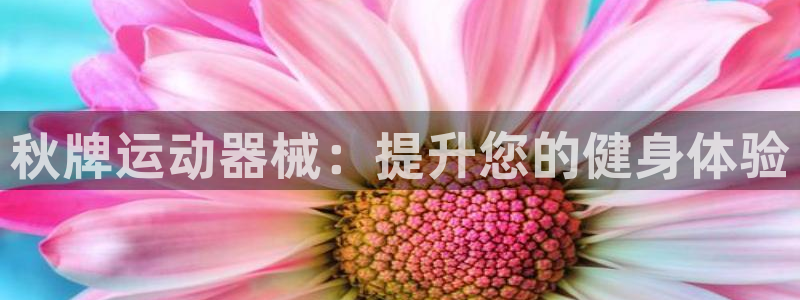 下载尊龙：秋牌运动器械：提升您的健身体验