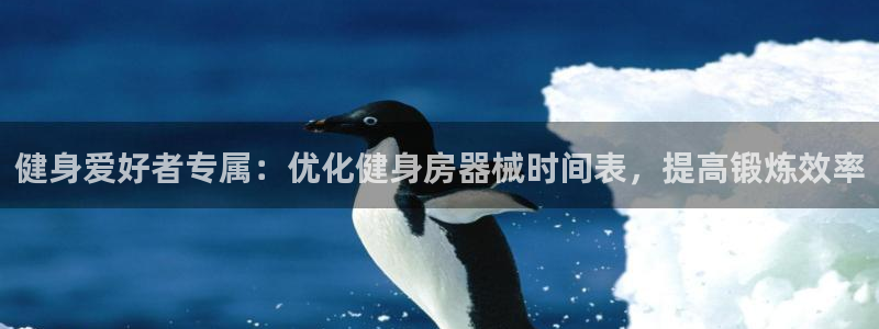 尊龙d88皆选ag发财网：健身爱好者专属：优化健身房