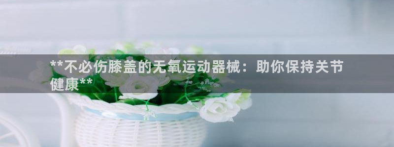 凯时ag旗舰厅：**不必伤膝盖的无氧运动器械：助你保